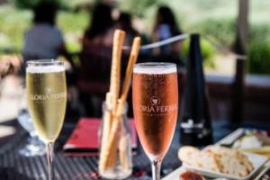 意甲联赛，冠军的荣耀与传承意甲联赛 杯 大力神杯