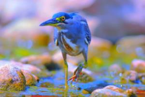 意甲联赛2024-2025赛季赛程表全解析意甲联赛赛程表24-25