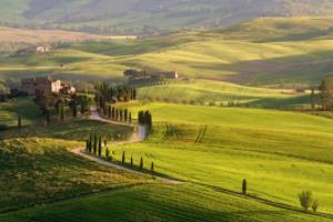 意甲联赛荷兰三剑客,实力与影响力的完美结合意甲联赛荷兰三剑客